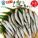 【ふるさと納税】 訳あり ししゃも 1~3kg カラフト 丸干し 干物 ひもの セット 冷凍 沼津 静岡