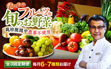 【全3回定期便】野菜×フルーツセット（6-7種）少量食べきりセット　 野菜 果物 やさい 少量セット[AGBX048]