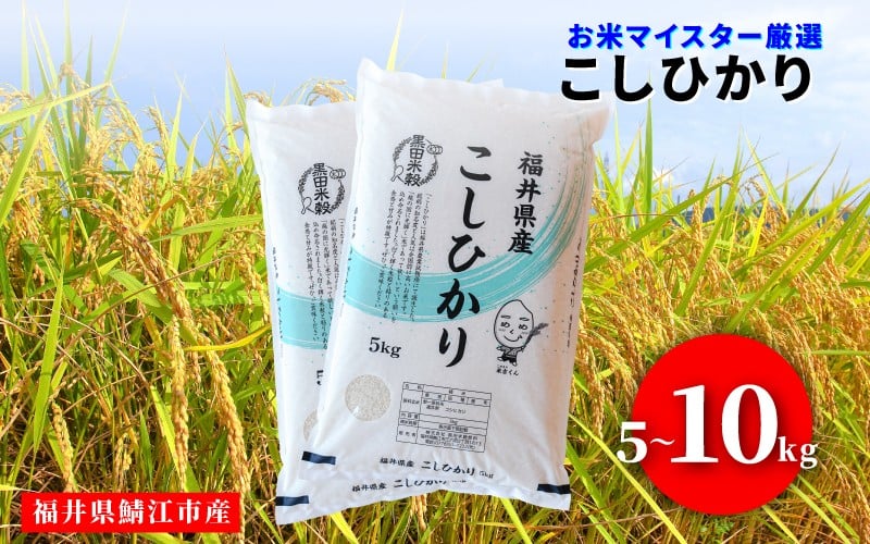 
                  【令和7年産】令和7年産 コシヒカリ [C-02020] / お取り寄せ お米 精米 白米 小分け 便利 弁当 ごはん ご飯 コメ おにぎり ブランド 米 初回 送料無料 常温 配送 新生活 応援 5kg 10kg
                