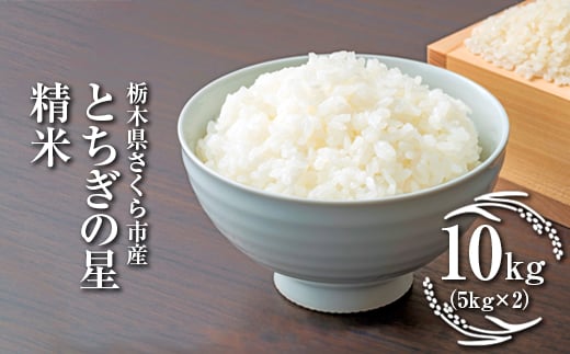 
            令和7年度　栃木県さくら市産とちぎの星　精米10kg（5kg×2）｜米　白米　コメ　こめ　菜っ葉館※2025年11月上旬頃から順次発送予定
          