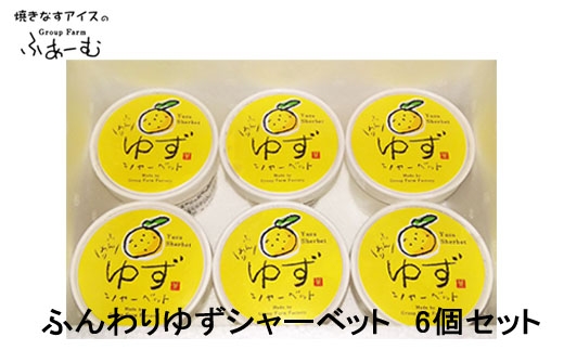 
                  ふんわり ゆずシャーベット 6個セット 柚子 アイス 土佐 【グレイジア株式会社】 [ATAC375-06]　アイス キャンデー バラエティ 詰め合わせ スイーツ おやつ 高知 アイス お取り寄せ 人気
                