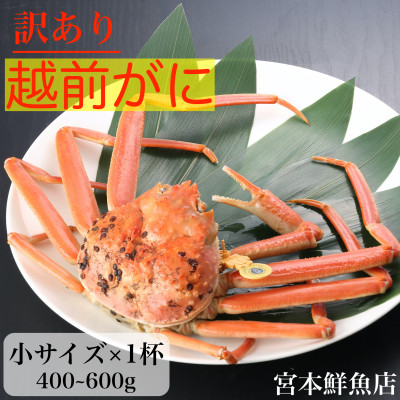【2025年1月中旬頃より順次発送】【訳あり】≪浜茹で≫越前がに　小サイズ×1杯【配送不可地域：離島・北海道・沖縄】【1511295】