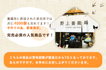 たまご屋さんの生ぷりん5個セット (150ml×5個) 送料無料 野上養鶏場《60日以内に出荷予定(土日祝除く)》味宝卵使用 プリン