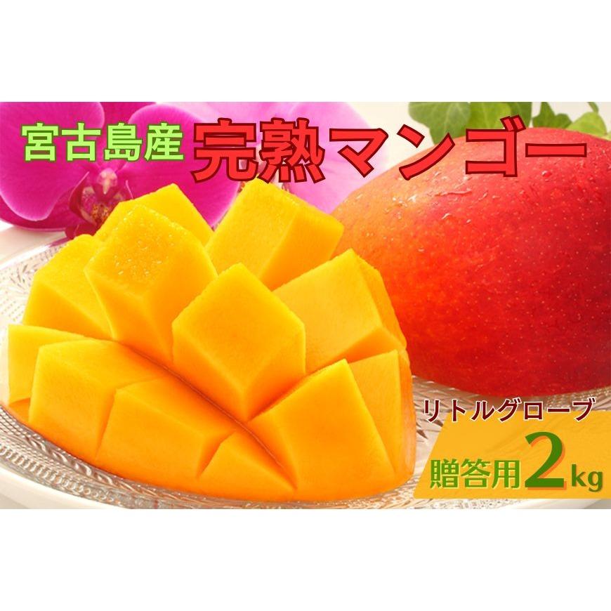 【ふるさと納税】贈答用 宮古島産マンゴー2kg ＜リトルグローブ＞（LT002）