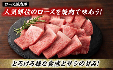 【3回定期便】くまもと黒毛和牛「藤彩牛」厳選3種の食べ比べ計700g 3902【有限会社 スイートサプライなかぞの】[ZDT135]