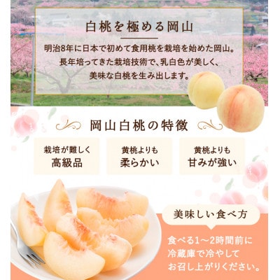 【2027年発送】岡山県産　白桃 5玉 (1.5kg以上) 等級:ロイヤル 木箱入り【配送不可地域：離島・北海道・沖縄県】