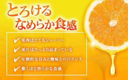早生みかん 3kg 小玉 わせみかん わせ 江田島産 広島 みかん ミカン 柑橘 柑橘類 果物 くだもの フルーツ 家庭用 濃厚 デザート 旬 特産品 温州みかん 国産 江田島市/ハルテラス農園[XC