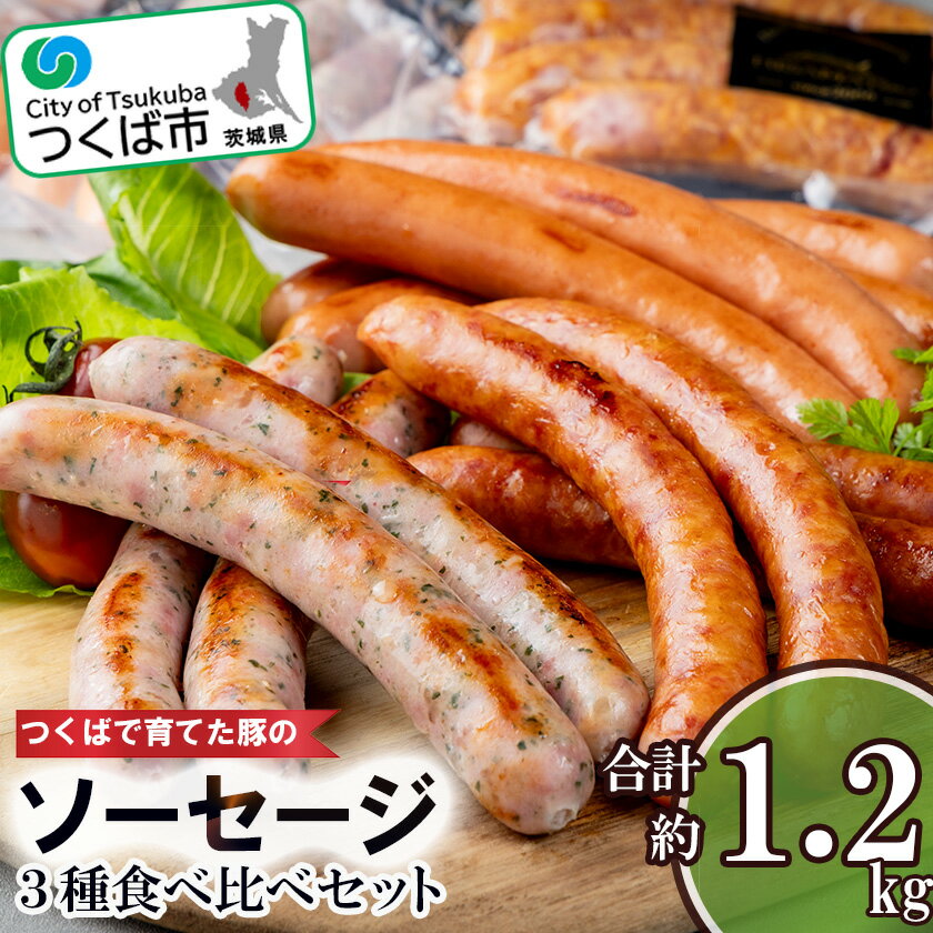 【ふるさと納税】つくばで育てた豚のソーセージ3種食べ比べセット | 茨城県 つくば市 豚肉 おつまみ 肉 加工品 ウインナー あらびき 粗びき ハーブ 冷蔵 ソーセージ 食べ比べ