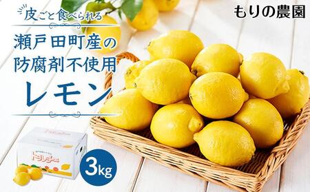 レモン島から贈る安心の国産レモン３kg 産地直送 ワックス 防腐剤、防かび剤不使用＜1月15日〜発送予定 もりの農園＞【レモン レモン レモン レモン】