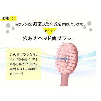 ふるさと納税 海南市 【和歌山県海南市で製造】奥歯のウラまでしっかり磨ける穴の開いた歯ブラシ　12本組 |  | 02
