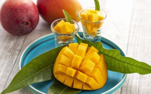 【先行受付】【2024年発送】神谷ファームのマンゴー（極）約1Kg