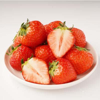 ふるさと納税 観音寺市 【発送月固定定期便】観音寺市フルーツ定期便全3回