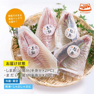 ふるさと納税 門川町 真鯛としまあじのお刺身セット(門川町) |  | 03
