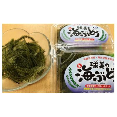 ふるさと納税 久米島町 球美の”生”海ぶどう(100g×3個) |  | 01