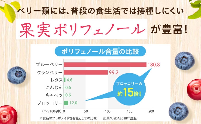 健康飲料 野菜飲料 野菜ジュース 無添加 果物 栄養バランス ベリー 大容量