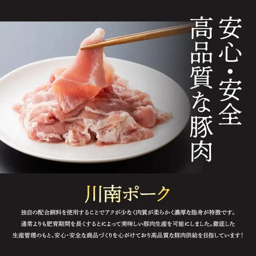 宮崎県産豚肉 川南ポーク 小間切れ 4kg (200g×20パック) 【 肉 豚肉 国産 こま切れ おかず 便利 九州産 宮崎県産 川南町産 送料無料 】