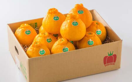 熊本県産 完熟 デコポン 計2.5kg（10～12玉） 果物 くだもの フルーツ 蜜柑 ミカン 柑橘 【2025年3月上旬～4月上旬発送予定】