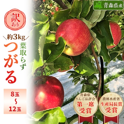 「葉とらずつがる」約3kg・訳あり家庭用りんご【配送不可地域：離島・沖縄】【1491305】