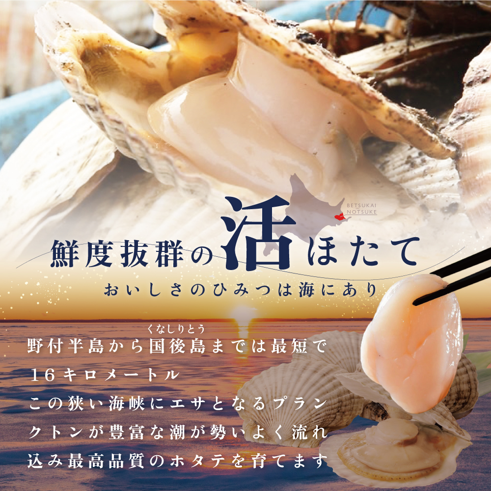 【先行予約】北海道野付産活ホタテ 3kg（10枚前後）