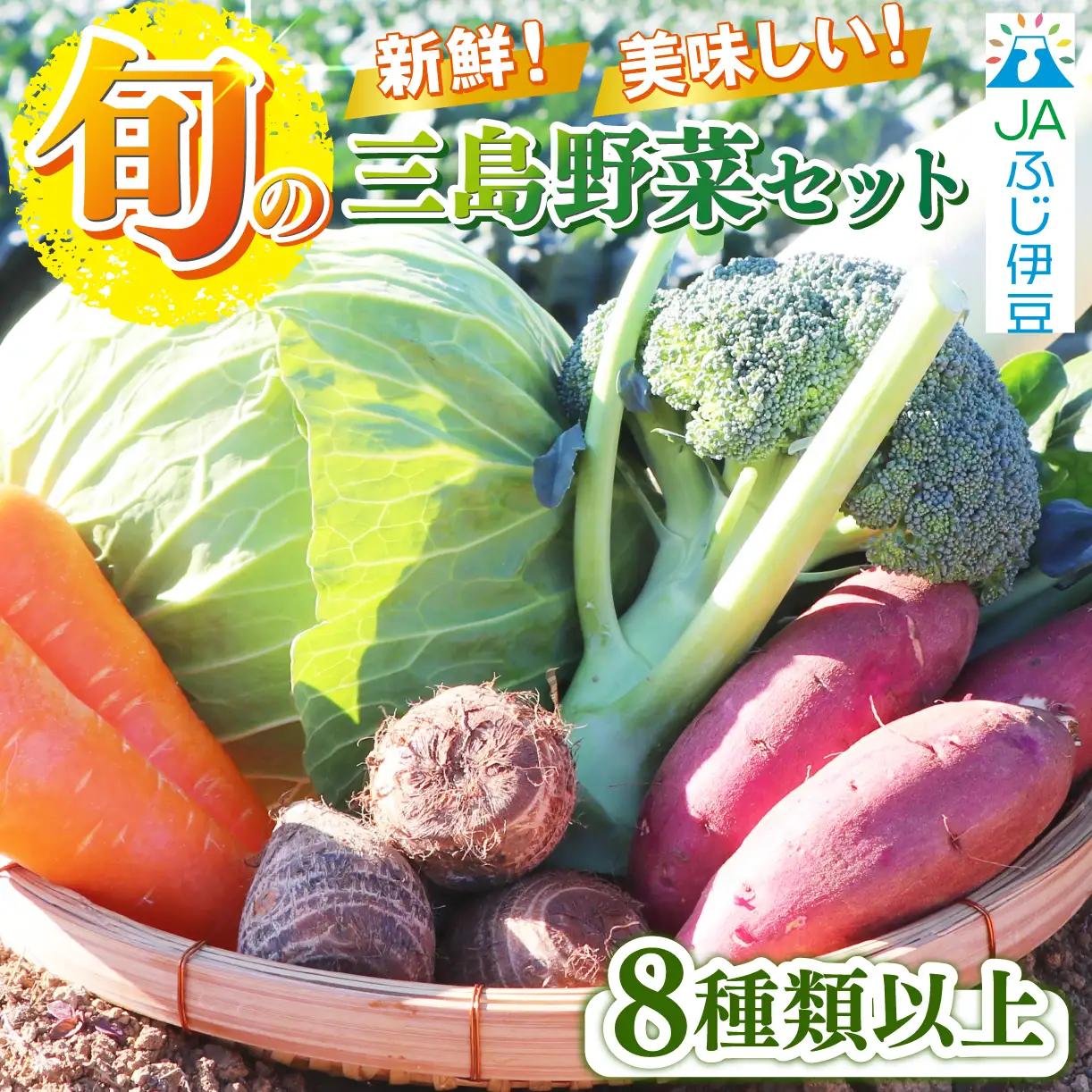 【2026年11月発送 秋冬野菜】三島野菜詰め合わせセット 8種類以上 JAふじ伊豆 ファーマーズマーケット みしまるかん お取り寄せ グルメ 野菜 旬の詰め合わせ 三島市 静岡県