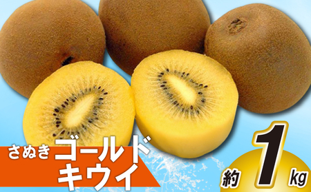 先行予約 さぬきゴールドキウイ 約1kg キウイ 配送：10月下旬～12月中旬