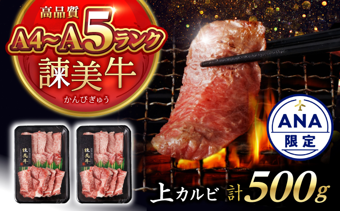 【ANA限定】諫美牛 上カルビ 500g(250g×2) / 牛肉 ぎゅうにく 和牛 肉 焼肉 やきにく 国産 カルビ かるび / 諫早市 / 株式会社土井農場 [AHAD101]