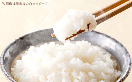 R7年度産 新米 ヒノヒカリ 玄米 5キロ 5kg お米 米 コメ ごはん ご飯 げんまい 大阪府高槻市/高槻あぐり[AOCS031]