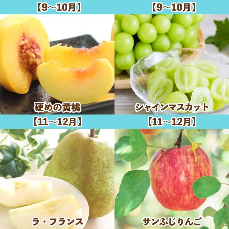 【定期便7回】旬です！YAMAGATA＊FRUIT FZ25-285