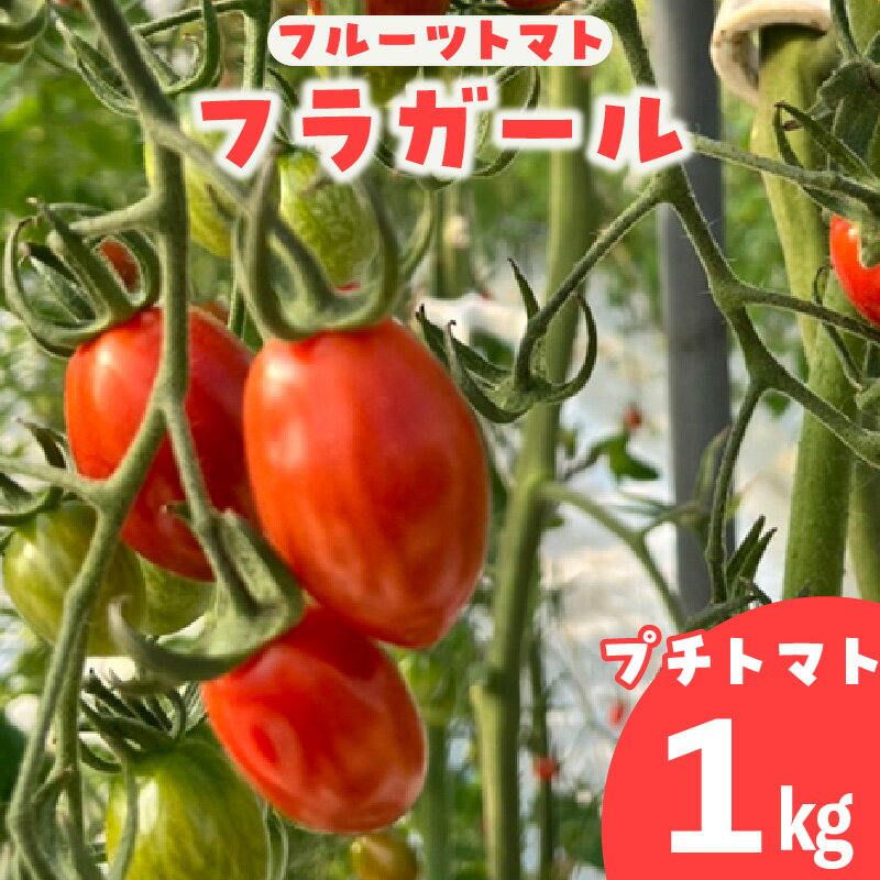 【ふるさと納税】【先行予約】フルーツトマト フラガール プチトマト（へたなし）【1kg】 よこた農園 野菜 トマト 新鮮野菜 太陽の恵み トマト料理 愛知県産 お取り寄せ グルメ へたを取り除いた状態でお届けします ※2025年12月頃から順次発送 送料無料