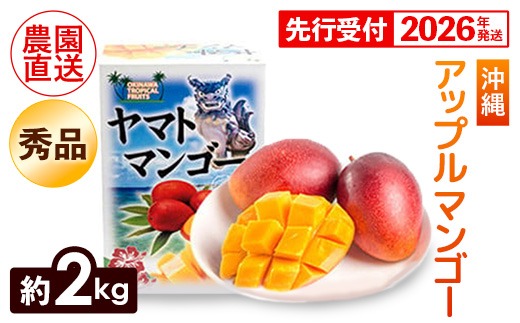 【化粧箱入】【先行受付・2026年発送】ヤマト農園 アップルマンゴー約2kg（秀品）- 先行予約 沖縄県産 産地直送 南国フルーツ 旬の味覚 季節の果物 贈り物 ギフト 沖縄県 八重瀬町