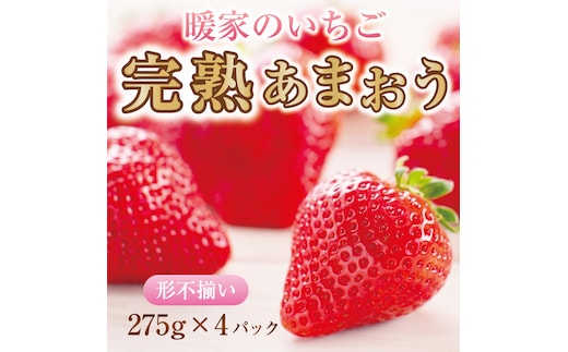 
										
										暖家のいちご 完熟あまおう 4パック(形不揃い) [a9407] 社会福祉法人猪位金福祉会 暖家の丘 ※配送不可：北海道・沖縄・離島【返礼品】添田町 ふるさと納税
									