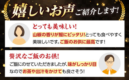 国産うなぎしぐれ煮100g 滋賀県長浜市/株式会社魚三[AQDF014]