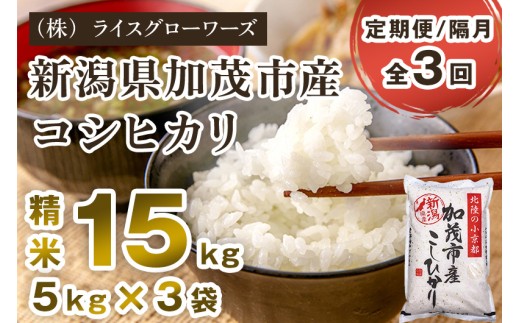 【令和7年産】【定期便3回隔月お届け】新潟県加茂市産コシヒカリ 精米15kg（5kg×3）《順次出荷》 新潟県産コシヒカリ 新潟産コシヒカリ 新潟コシヒカリ 新潟県産こしひかり 新潟産こしひかり 新潟こしひかり コシヒカリ こしひかり お米 白米 米 定期便 （株）ライスグローワーズ
