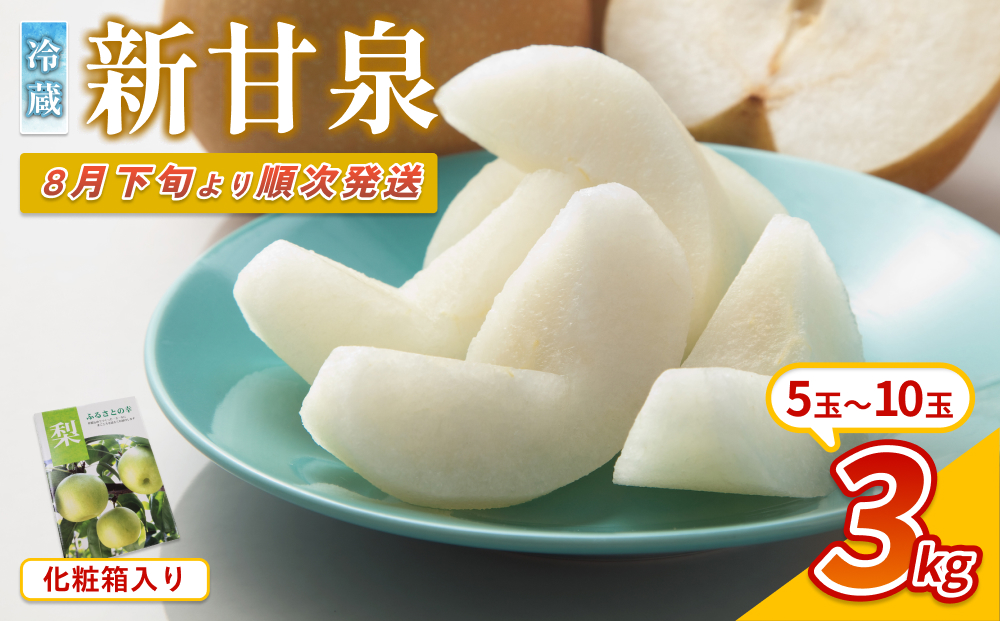 【先行予約】中野農園 梨 ”新甘泉” 3kg 化粧箱入り 冷蔵便発送｜鳥取 岩美 梨 なし ナシ 赤梨 果物 フルーツ ※お届けは2026年8月下旬頃～【41080】
