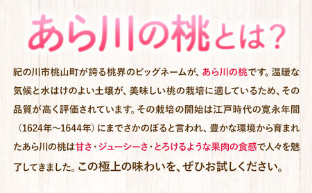 【先行予約】 和歌山県紀の川市産あら川の桃 約1kg 秀品 前商店《6月末旬-7月中旬出荷》 和歌山県 紀の川市 送料無料