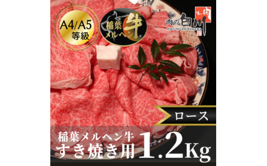 
稲葉メルヘン牛(A4-A5)すき焼き用　ロース1.2Kg【1291595】
