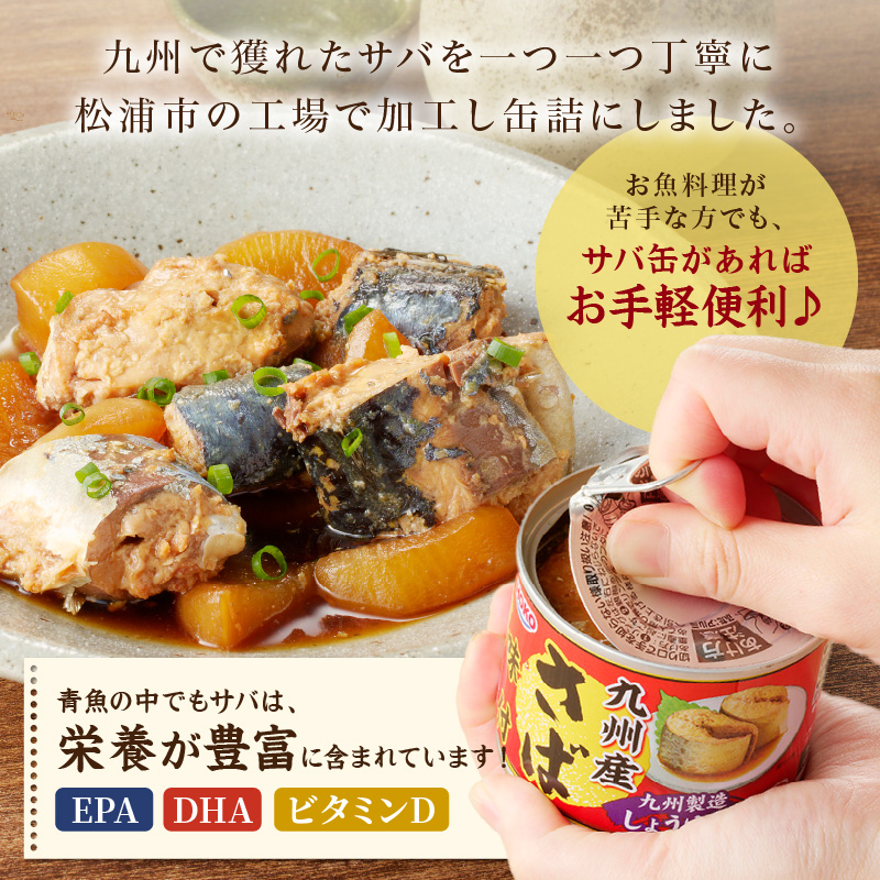 さば味付缶セット(12缶)【B2-109】