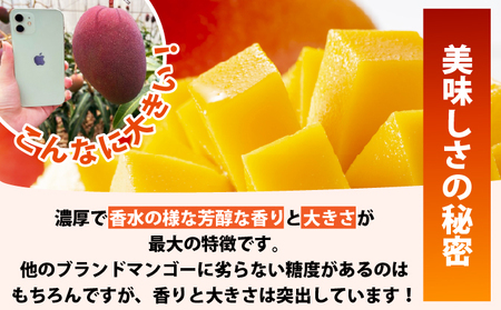 《8月以降順次発送》最高糖度20度！？冬眠マンゴーと完熟ピーチパインジュース