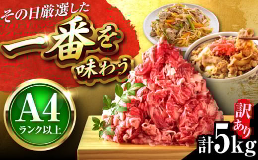 【博多和牛】 切り落とし 5kg (500g×10パック) 吉富町/株式会社MEAT PLUS [BGAB040] 国産 黒毛和牛 きりおとし 訳あり わけあり 肉 牛肉 バラ 牛肩 大容量 赤身 小分けパック