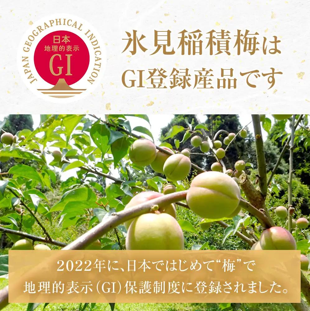 梅ドリンク 氷見乙女（12本セット）｜ 富山県固有種 稲積梅使用 梅ドリンク