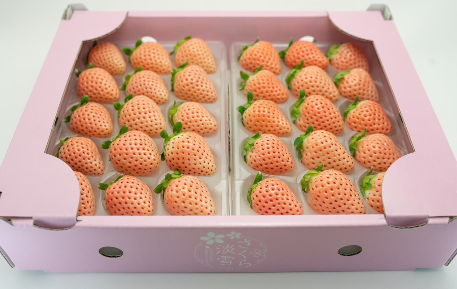 
            岸川農園のいちご「淡雪」220ｇ×2P
          