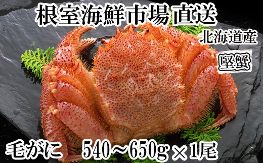 B-14123 ボイル毛がに540～650g×1尾(堅蟹)