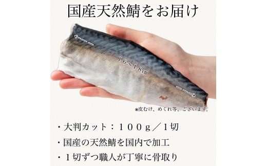 国産鯖の切り身(甘塩) 選べる 15切セット 魚 切り身 さば サバ 国産 冷凍 石川県 小松市 【カネナカ食品工業】