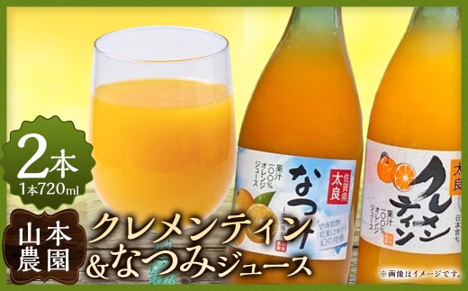 山本農園のクレメンティン・なつみジュース(各1本)2本セット 太良みかん ヨーロッパ生まれ スペイン原産 クレメンティン なつみ ジュース みかんジュース ミカンジュース 蜜柑ジュース ストレートジュース ジュース 温州 みかん ミカン なつみ 希少 フルーツ くだもの 果物 ミネラル豊富 太良町 国産 贈答用 OB7x1