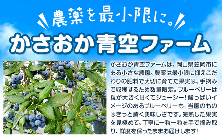 【2026年先行予約】【訳あり数量限定】ブルーベリー 計1kg (250g×4パック) ブルーベリーの宝石箱 かさおか青空ファーム 先行予約《2026年6月上旬-8月下旬頃出荷》 岡山県 笠岡市 送料