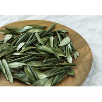 ふるさと納税 真鶴町 本気の飲むUVケア「UVーOLEUROPEIN」1袋(300mg×100粒) |  | 01