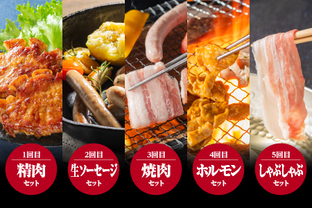 【定期便5ヶ月】まる姫ポーク おすすめセット｜豚肉 肉 精肉 ロース バラ モモ ソーセージ しゃぶしゃぶ ホルモン レバー 無添加生ソーセージ しゃぶしゃぶ 焼肉 国産 BBQ バーベキュー AK-