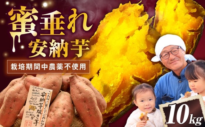 
            【厳選】熟成安納芋 10kg 滋賀県長浜市/好作豊吉 [AQCF008]
          