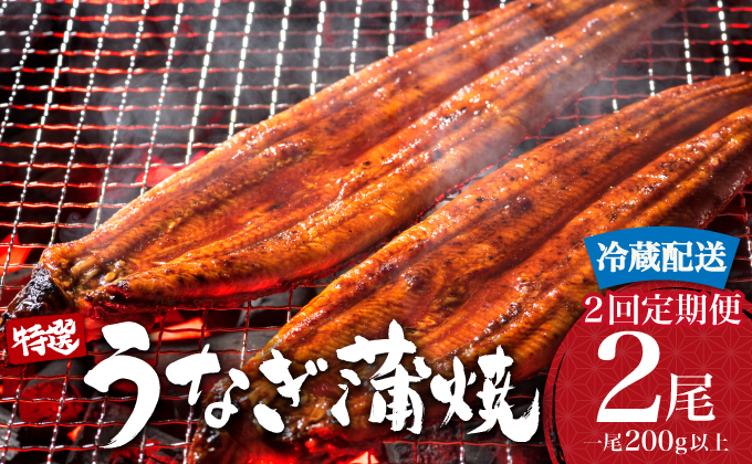 ＜順次発送/定期便2回＞ うなぎ蒲焼き 計800g (200g×2尾×2回) 冷蔵 21ys-0002