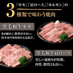 鹿児島県産黒毛和牛の焼き肉セット(和牛ロース肉、モモ肉、国産牛ホルモン 各200g 計600g) 黒毛和牛 焼き肉 冷凍【ナンチク】A-6